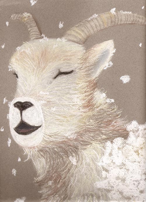 Laughing Goat